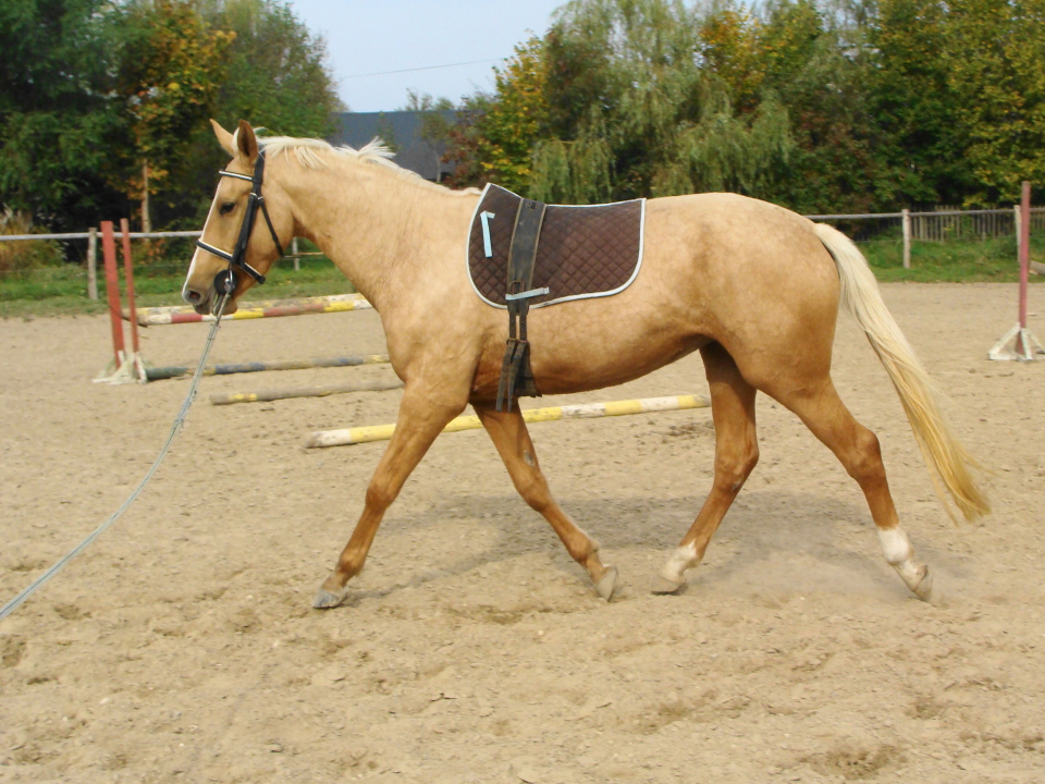 Belle Kinsk