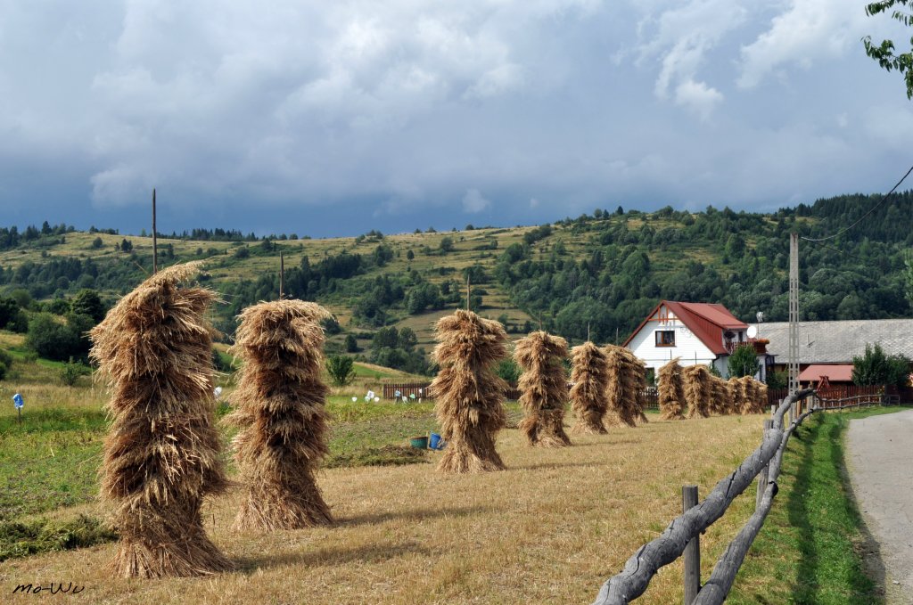 Rycerka Grna 2013r.