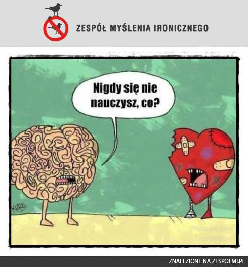 Nigdy.