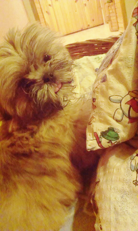 Roki < 3