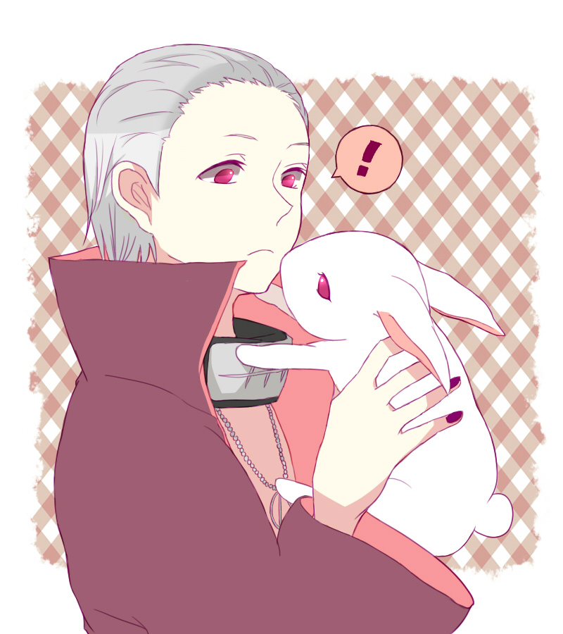 Rabbit.