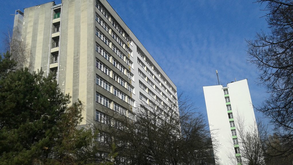 akademik