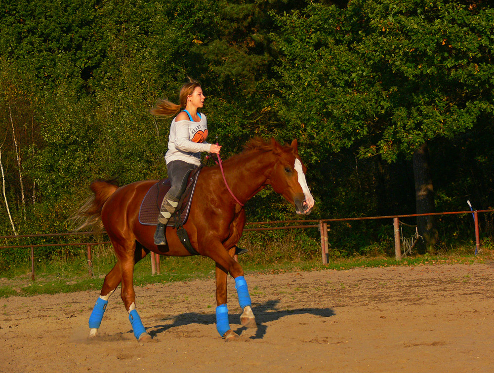 padziernik 2014