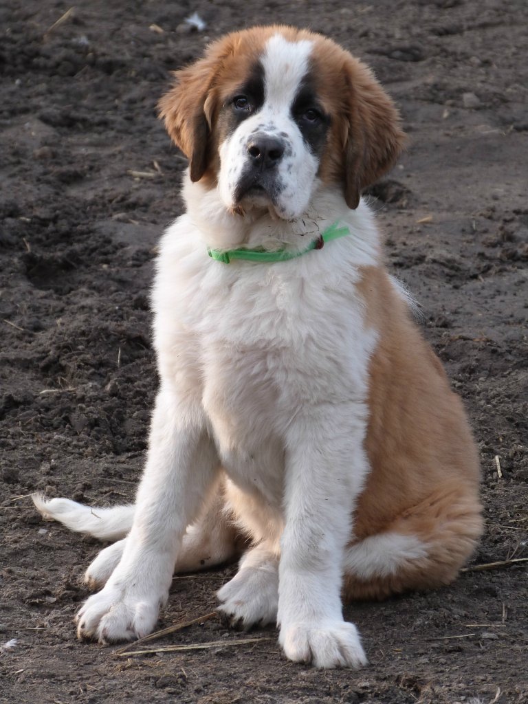 Klara ^^