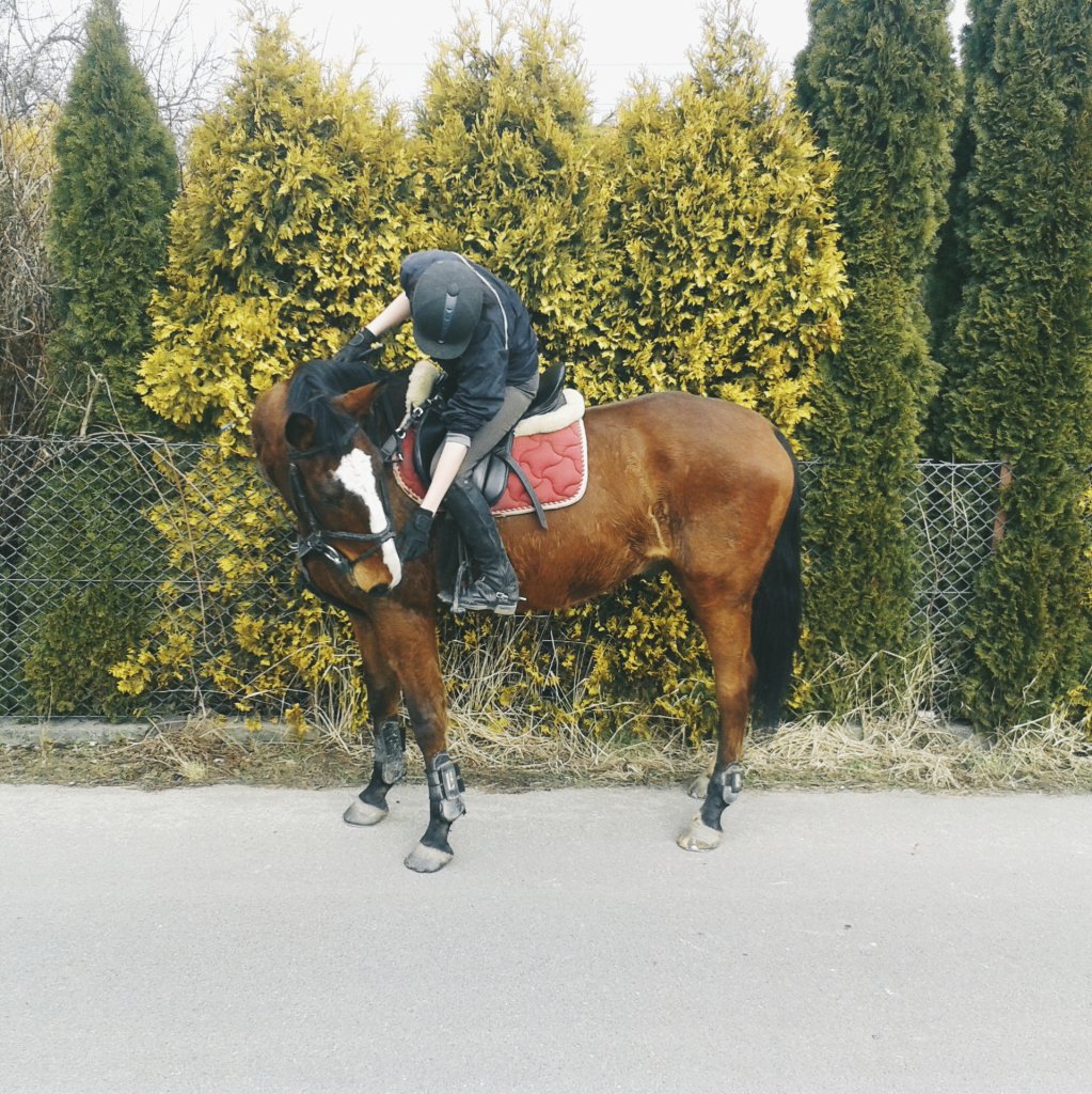 dzisiejszy Basti