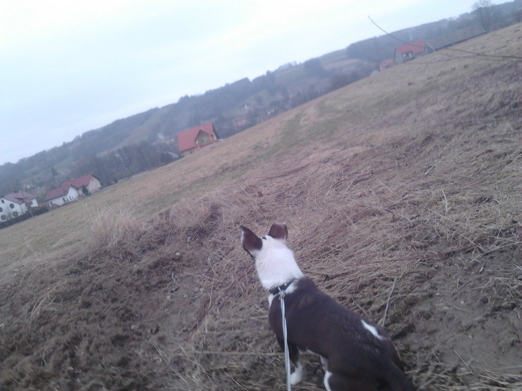 Spacer z Pusi 