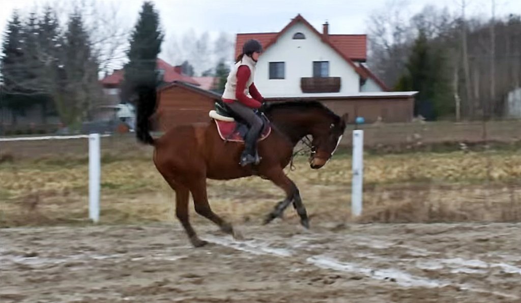 styczniowy