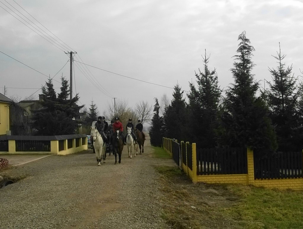 teren