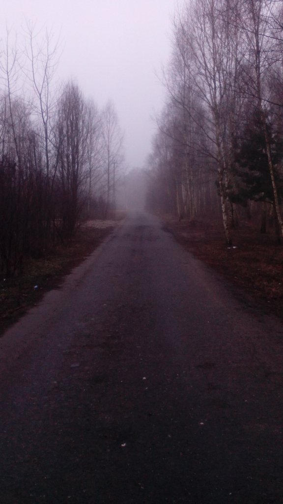 Road &amp; Fog 