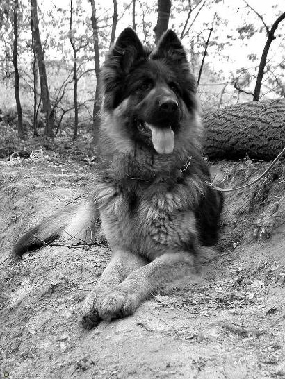 Lunka.