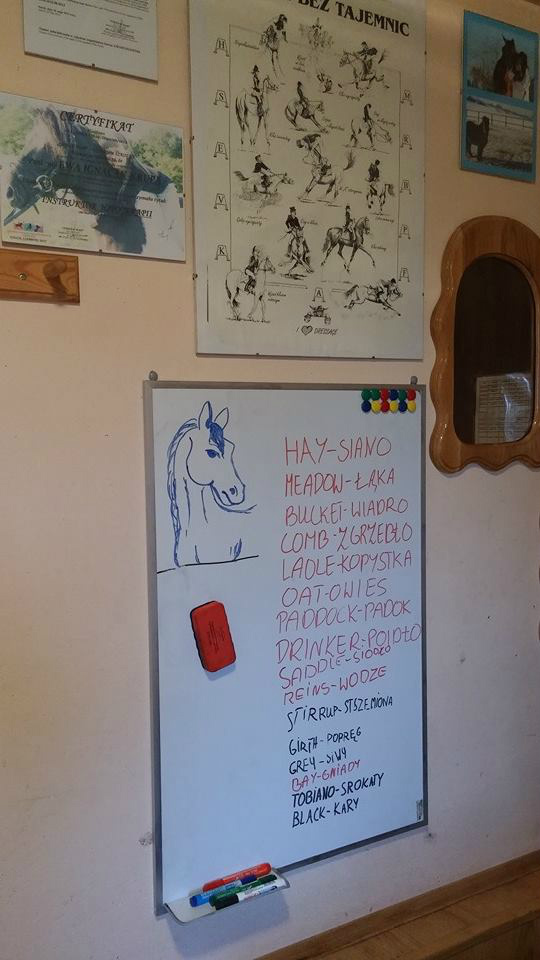 Angielski w Siodle
