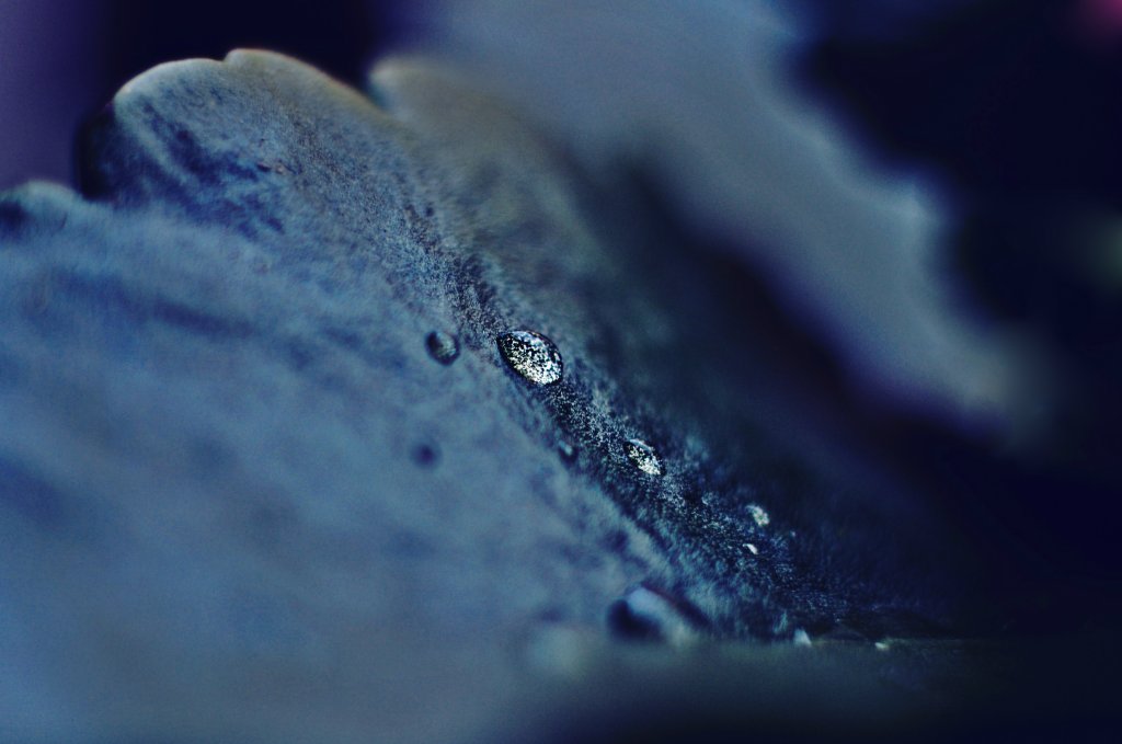 droplet