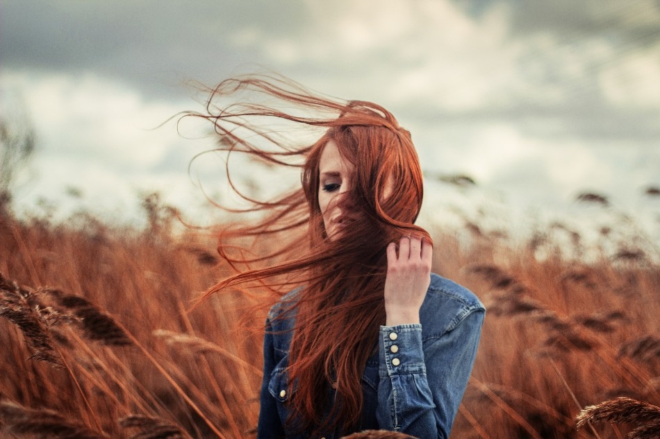 wind