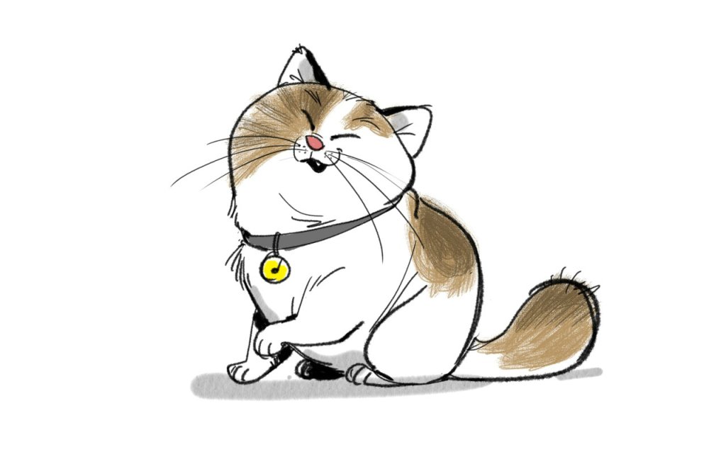 mochi