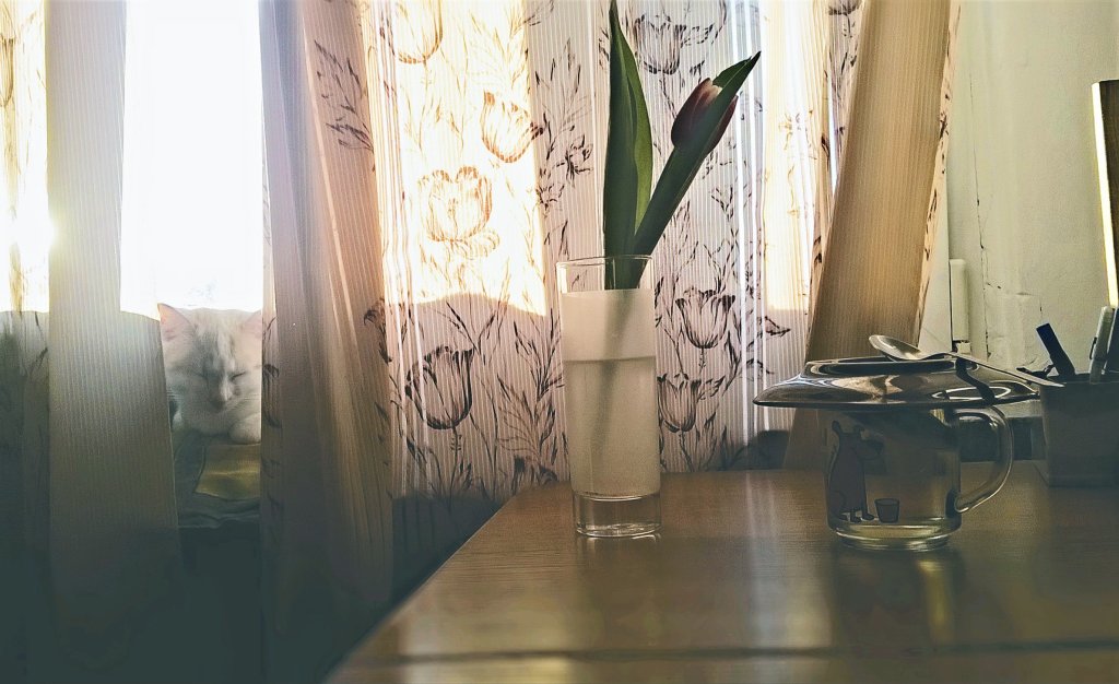 lazy afternoon