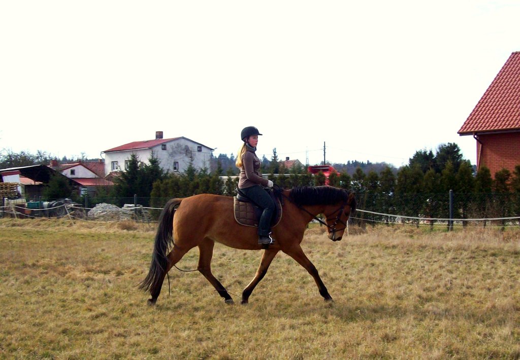 Harfka 