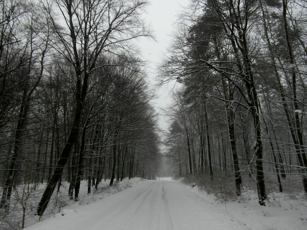 36.