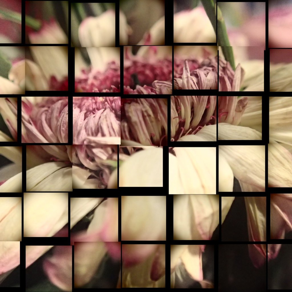 macro