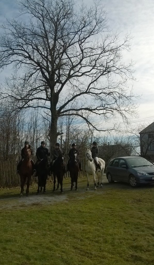 teren