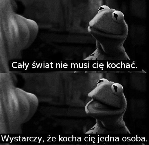 Rowa somka