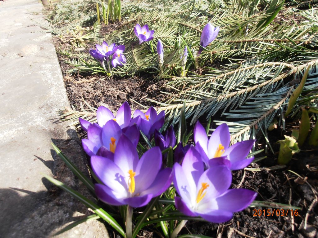 Wiosna :)