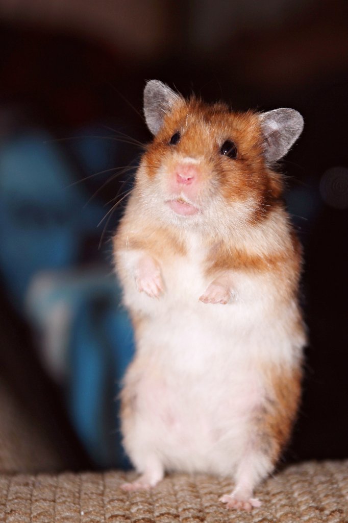 :3