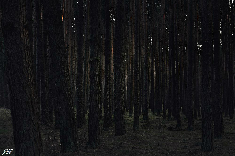 Witch Project