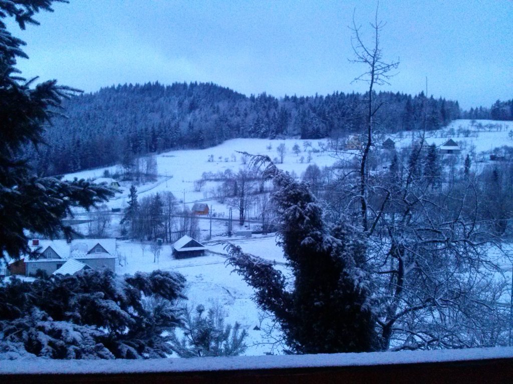 zima