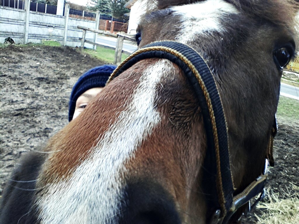 Pretty face :P