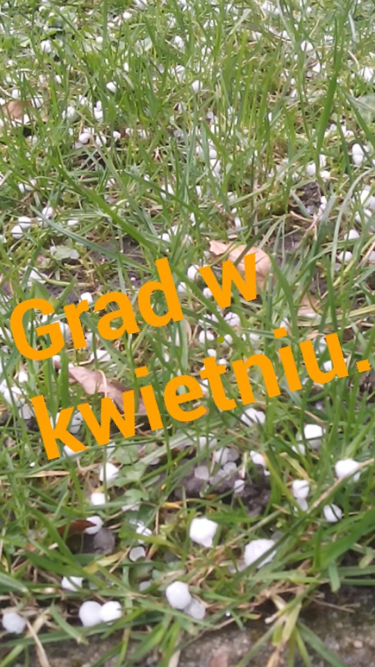 Hailstorm Saturday... 