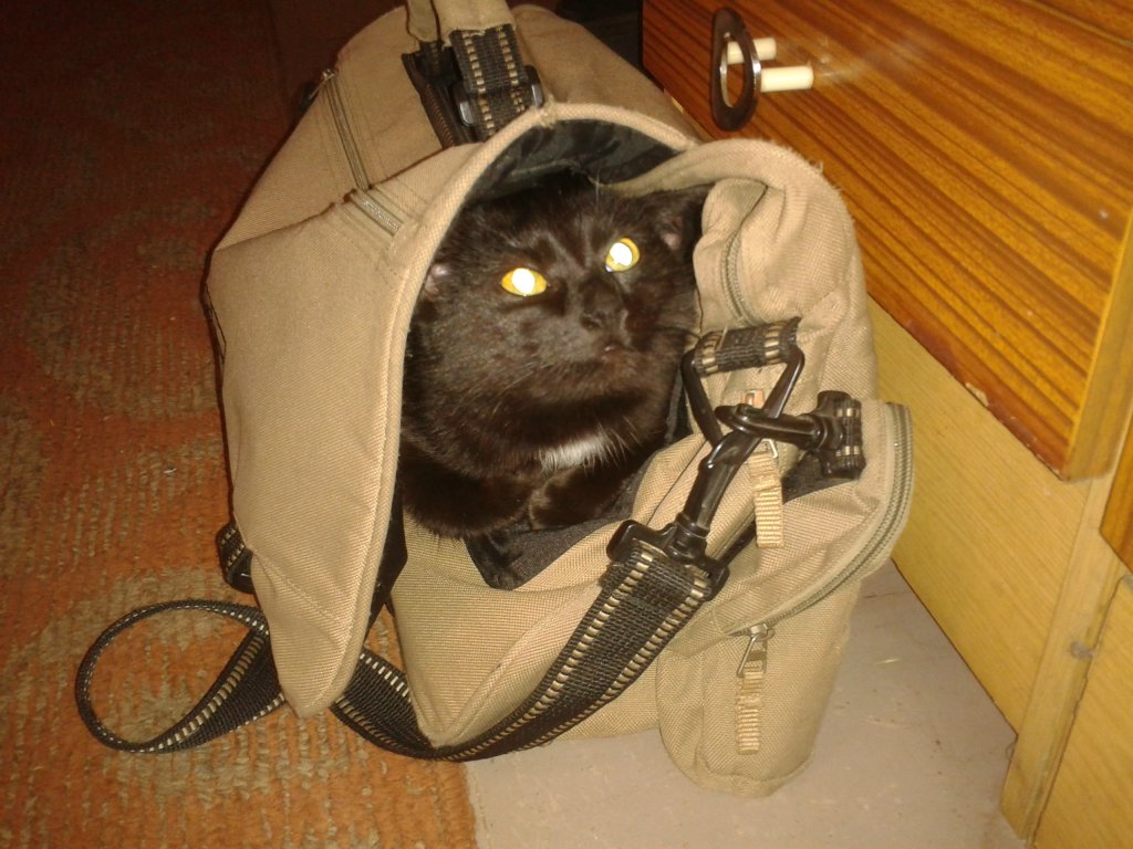 Psotnik :)