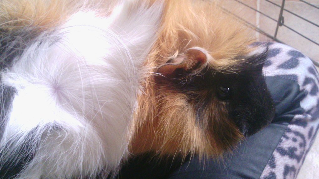 Mj pikny Jacu *-* 