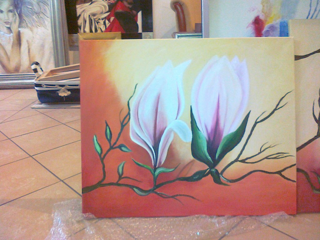 Magnolie