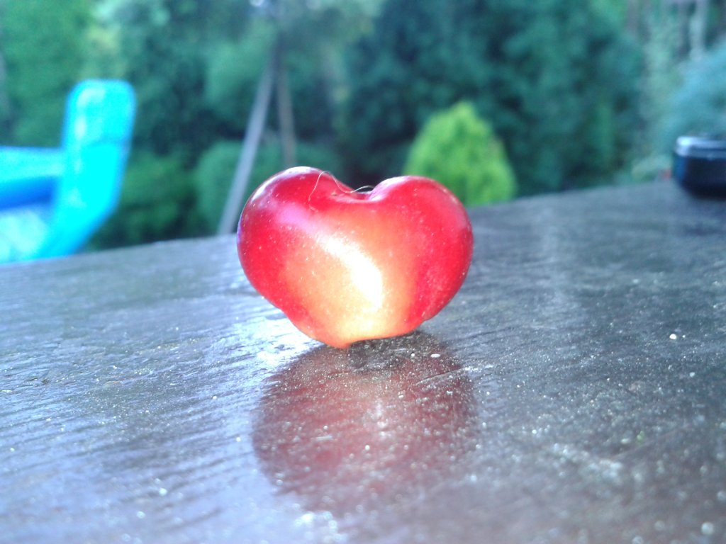 Podzikowanie..