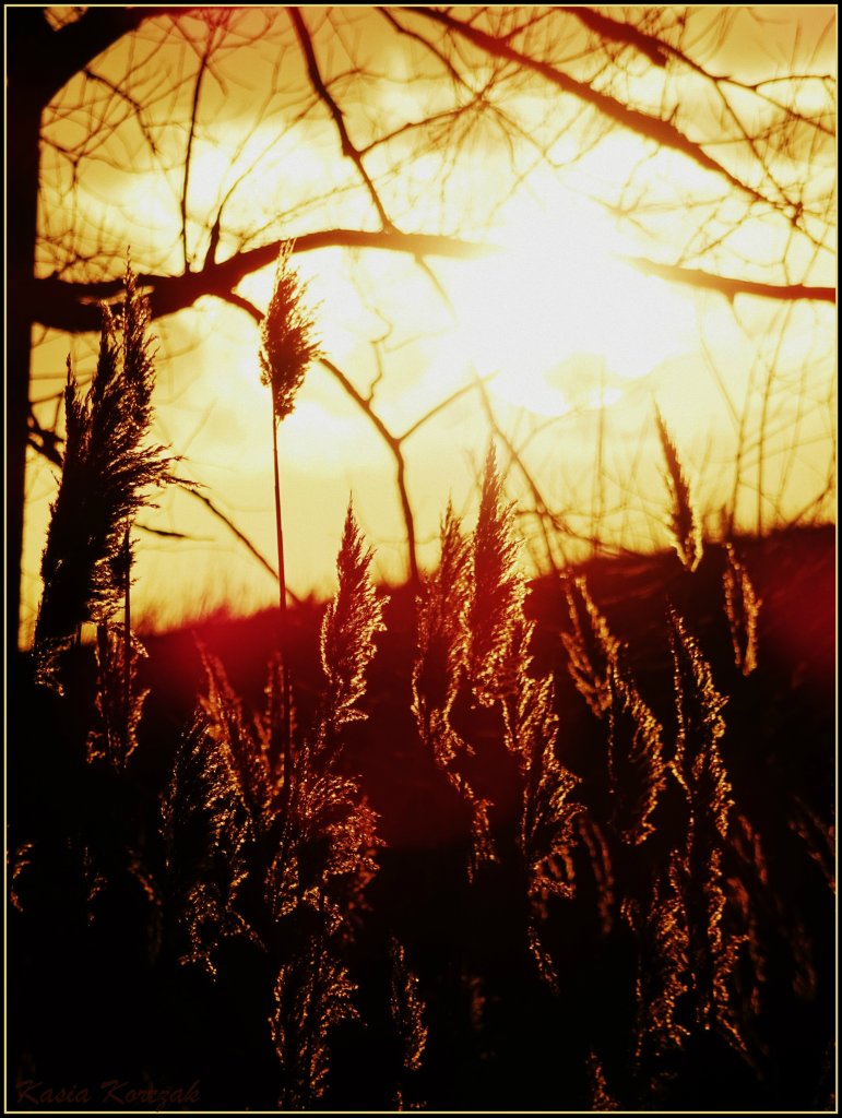 natura...