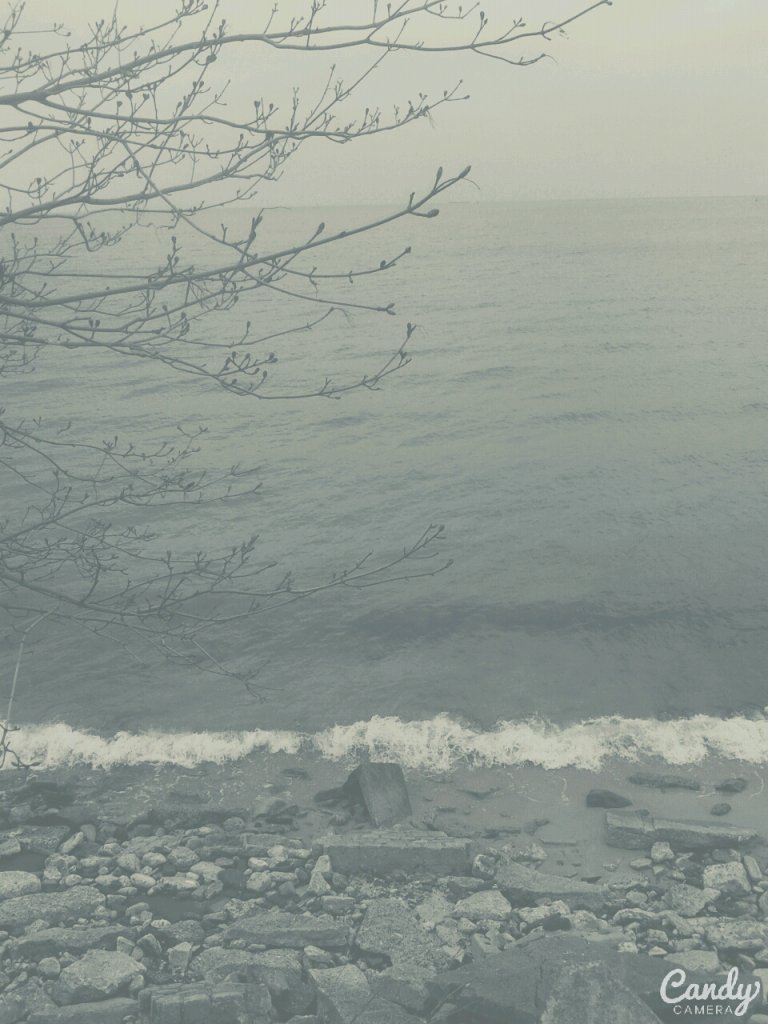15.04.2015