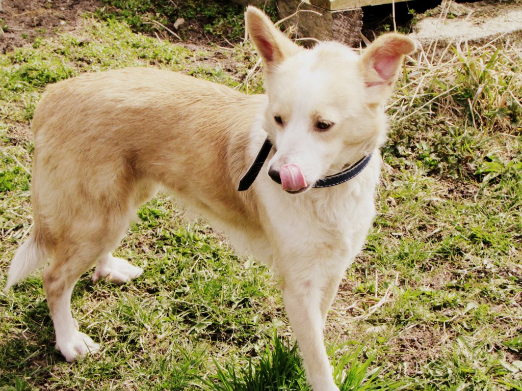 NUKA ;-)