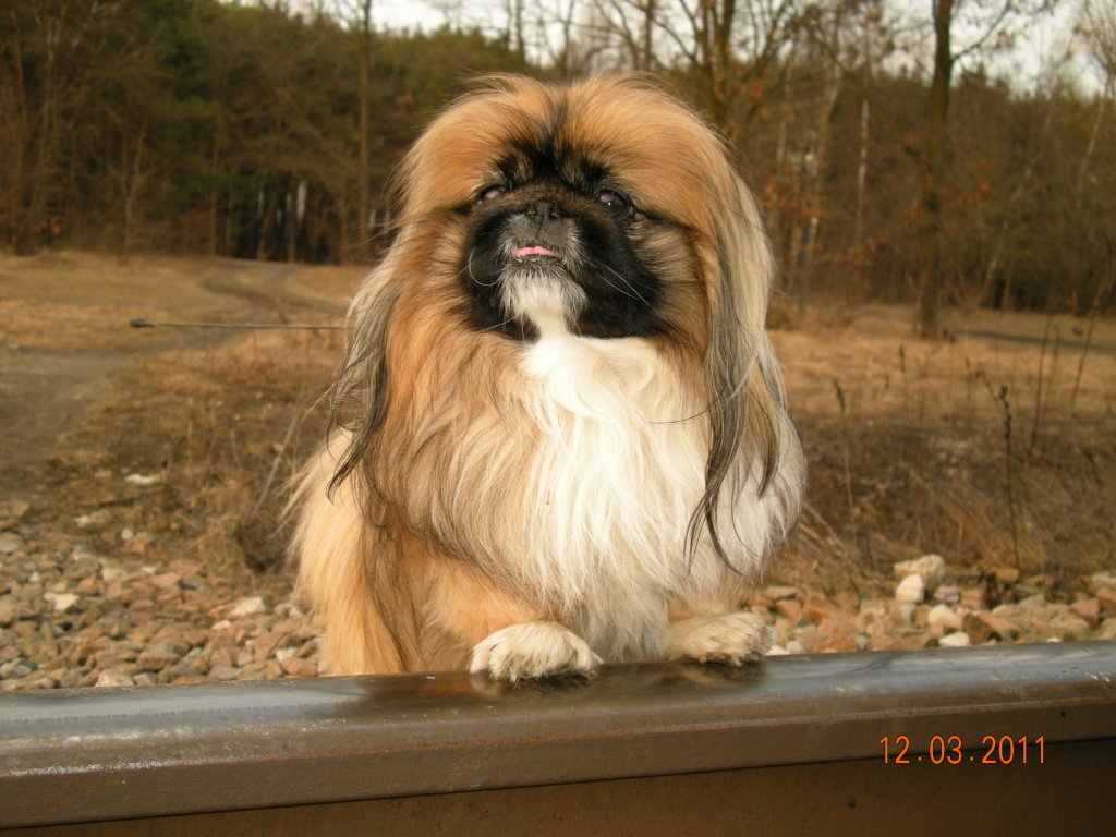 Kufcio.