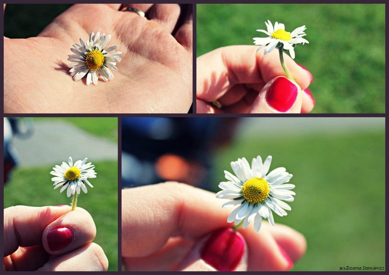 Spring is coming =)