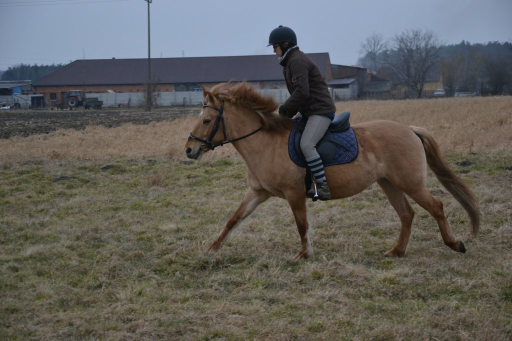 Humora ;)