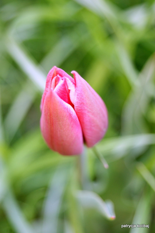 # 288.