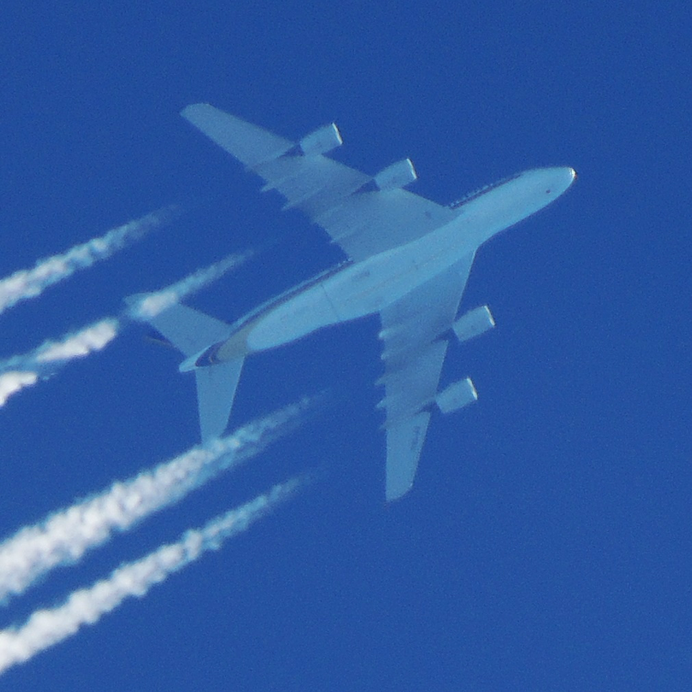 Singapore Airlines A388