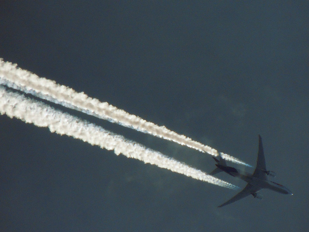 FedEx B77F