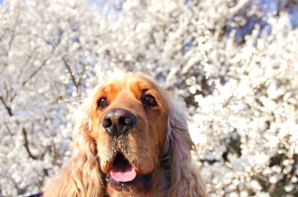 Pluto :)