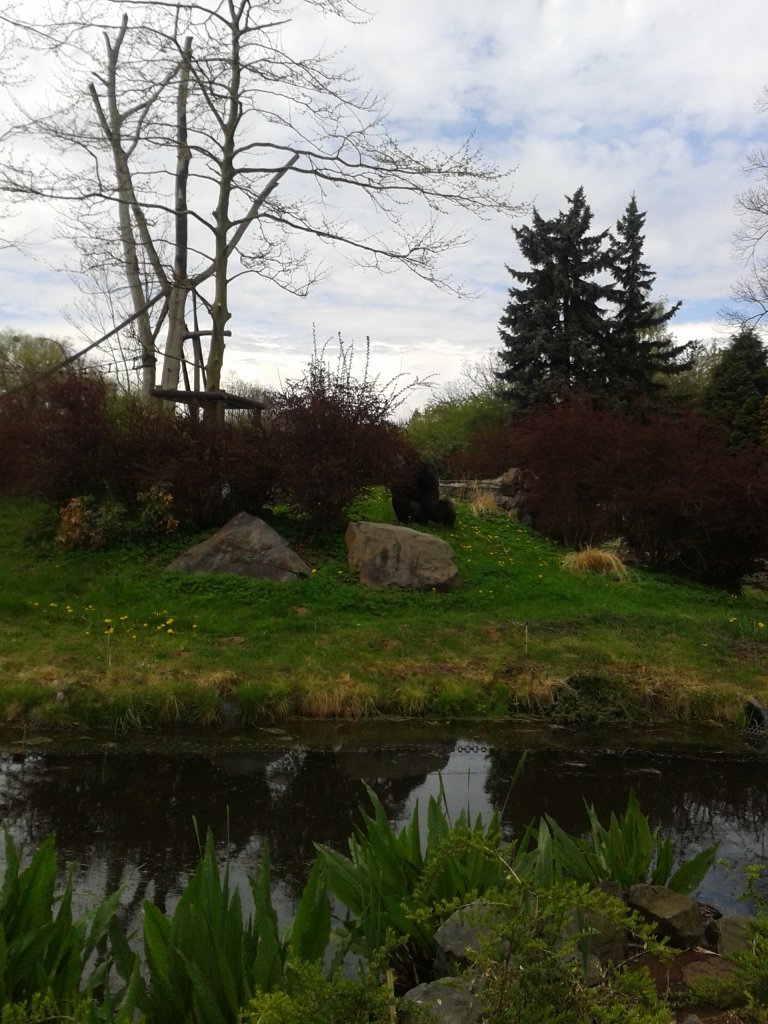 mijajce chwile