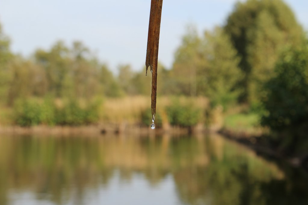 6.