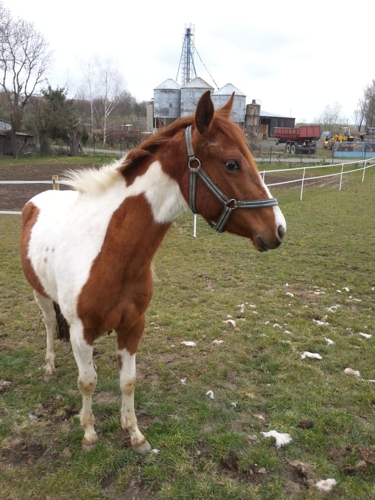 Tina &#9829;