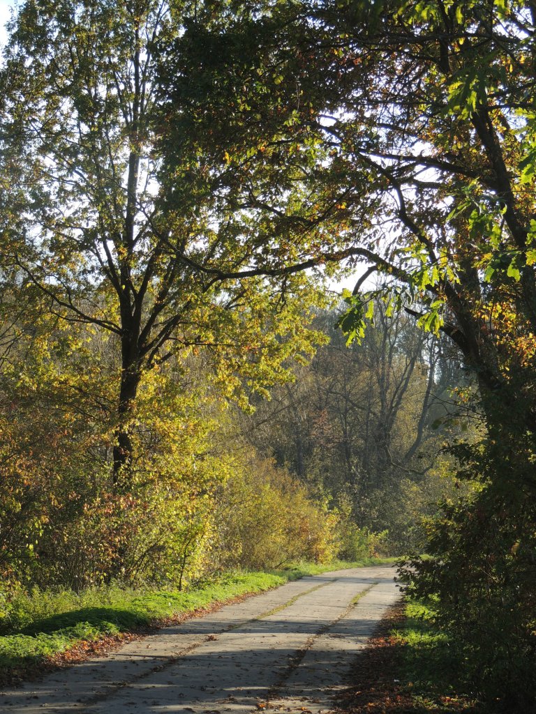 Autumn