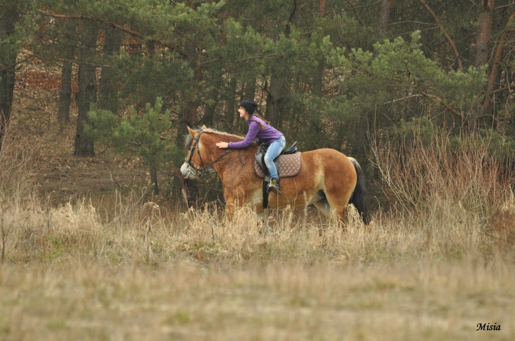 Misia