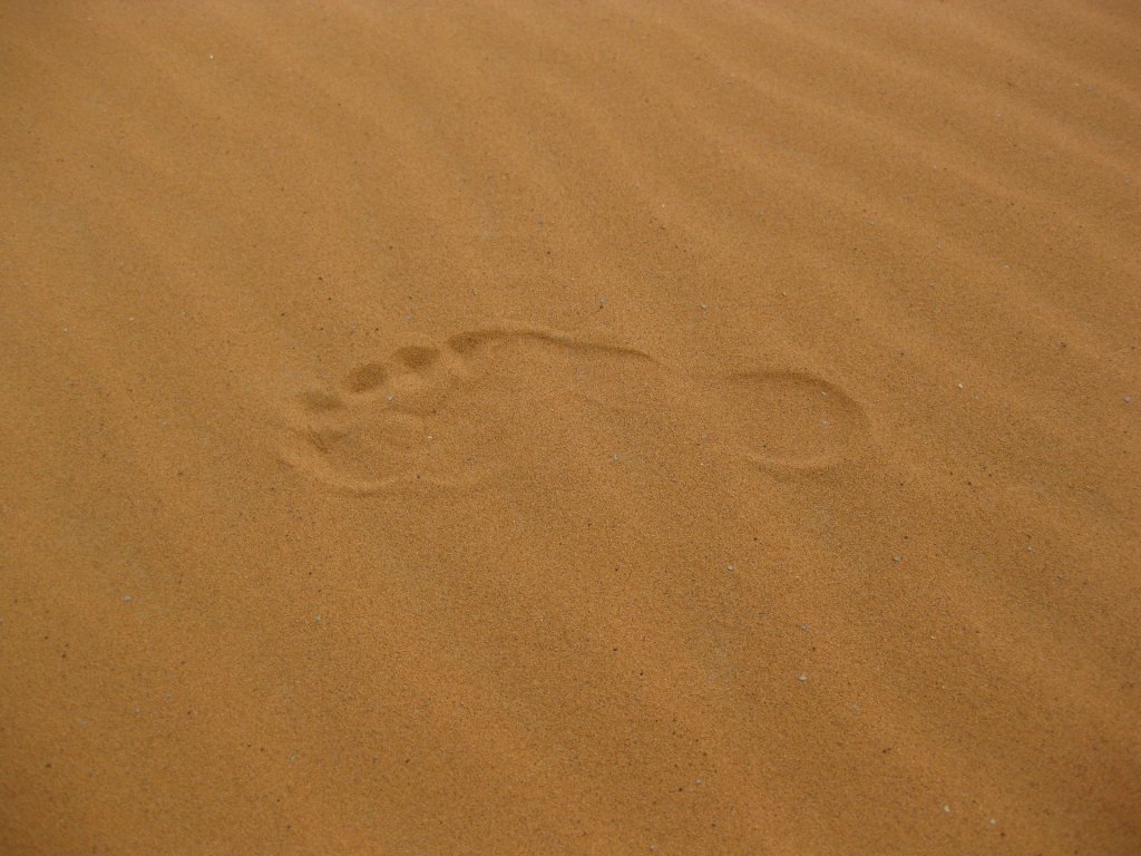 Amerykaski sen